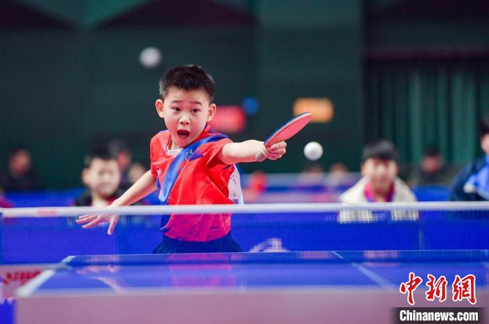 成都少儿乒乓球赛落幕 陆鹏羽等夺冠 教练盛赞赛